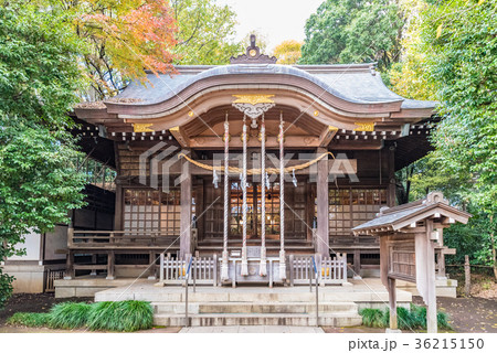 石神井氷川神社　東京　石神井公園 36215150