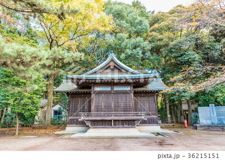 石神井氷川神社　東京　石神井公園 36215151