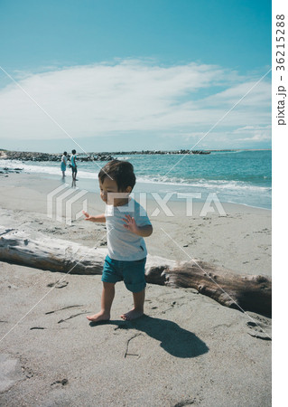 2 years old 2 years old 36215288