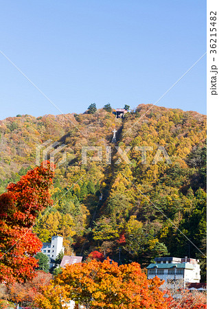 河口湖　カチカチ山ロープウェイ　紅葉 36215482