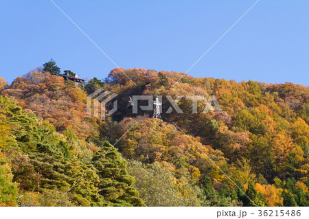 河口湖　カチカチ山ロープウェイ　紅葉 36215486