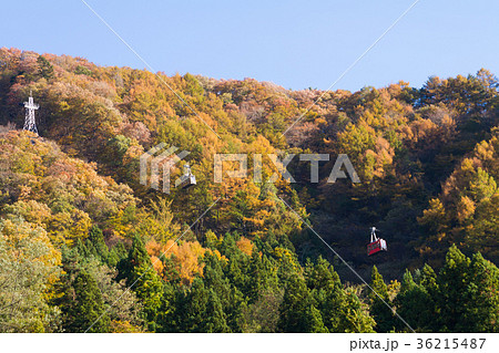 河口湖　カチカチ山ロープウェイ　紅葉 36215487