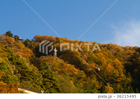 河口湖 カチカチ山ロープウェイ 紅葉 河口湖 カチカチ山ロープウェイ 紅葉 36215495