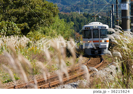 電車　ススキ　御殿場線　[静岡県] 36215624