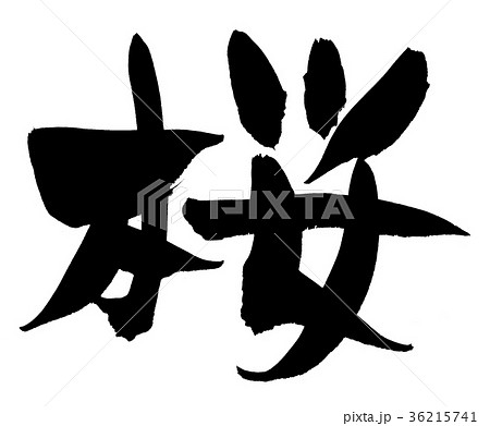 筆文字　桜鍋　桜　食べ物　イラスト　 36215741