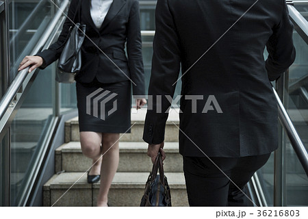 コンセプチュアルビジネス 36216803