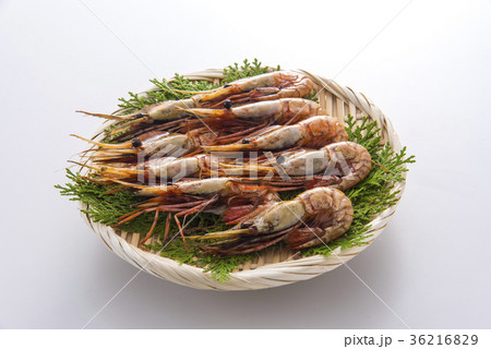 ボタン海老 36216829