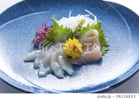 ヒラメ刺身 36216833