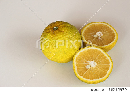 ジャバラ 花粉症 ジャバラ 花粉症 36216979