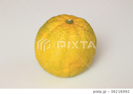 ジャバラ 花粉症 ジャバラ 花粉症 36216992