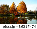 上尾　丸山公園 36217474