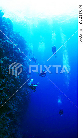 パラオ　ドロップオフでドリフトダイビング 36218074