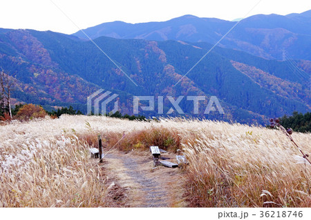 岩湧山 36218746