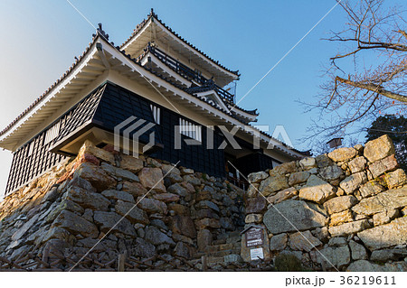 浜松城　冬季　[静岡県] 36219611
