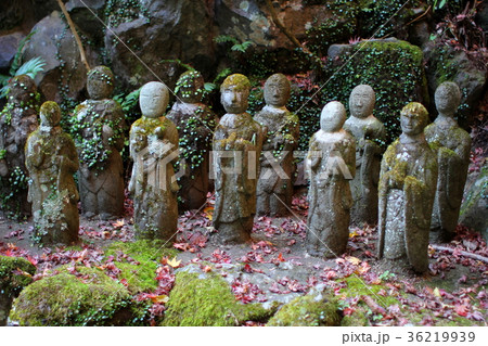 お地蔵さん03 茶湯寺 神奈川県伊勢原市 大山 お地蔵さん03 茶湯寺 神奈川県伊勢原市 大山 36219939