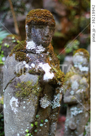 お地蔵さん06 茶湯寺 神奈川県伊勢原市 大山 お地蔵さん06 茶湯寺 神奈川県伊勢原市 大山 36219942