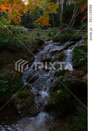 浜松城公園 日本庭園 滑滝 紅葉の写真素材