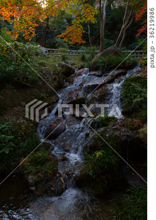 浜松城公園 日本庭園 滑滝 紅葉の写真素材 浜松城公園 日本庭園 滑滝 紅葉の写真素材