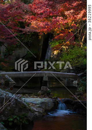 浜松城公園 日本庭園 大滝 紅葉の写真素材