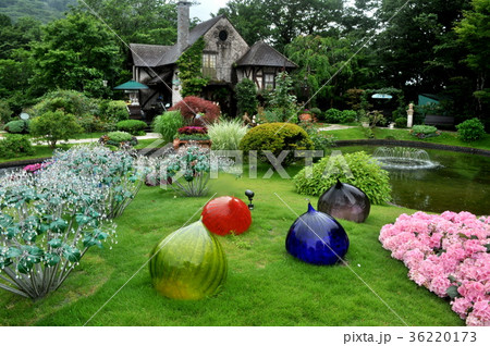 自然・風景・庭園 自然・風景・庭園 36220173
