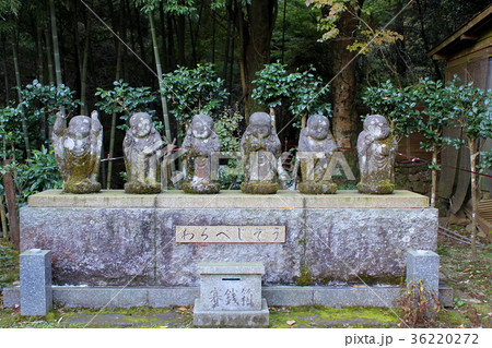 わらべじぞう01　茶湯寺　神奈川県伊勢原市　大山 36220272