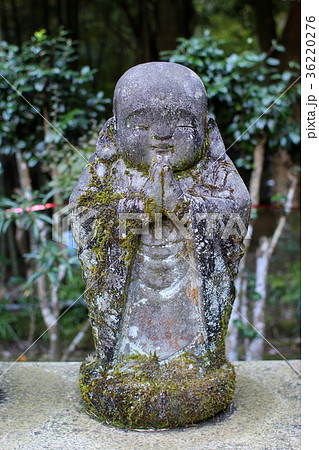 わらべじぞう05　茶湯寺　神奈川県伊勢原市　大山 36220276
