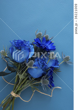 青いバラ 36221009