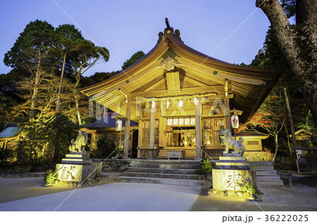 宝満宮 竈門神社    ライトアップされた拝殿 36222025