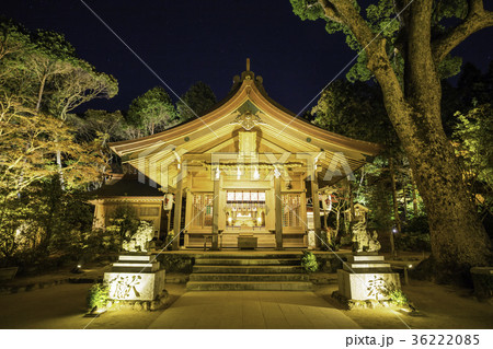 宝満宮 竈門神社    ライトアップされた拝殿 36222085