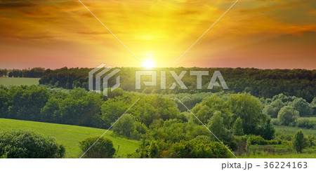 Green fields and bright sunrise. Wide photo. Green fields and bright sunrise. Wide photo. 36224163