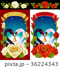 Swans and Roses set 36224343