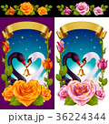 Swans and Roses set 36224344