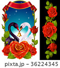 Swans and red Roses 36224345