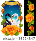Swans and yellow Roses 36224347