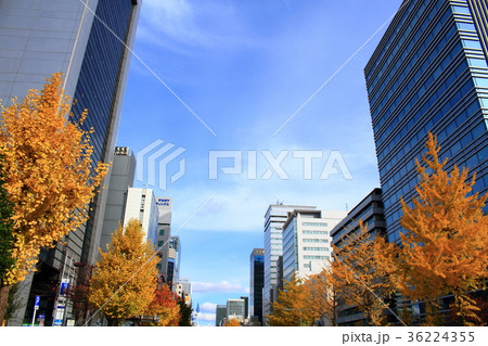 名古屋市　都市風景 36224355