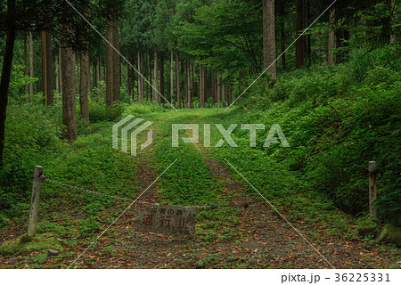 通行止め/立入禁止 36225331