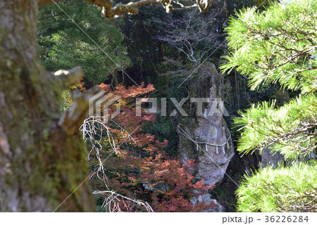 紅葉を求めて、紅葉＠那谷寺、小松市、石川県。 36226284