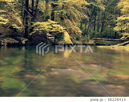 Fall river. Forest autumn trees by mountain valley Fall river. Forest autumn trees by mountain valley 36226413