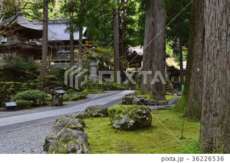 紅葉を求めて、紅葉@永平寺、永平寺町、福井県。 紅葉を求めて、紅葉@永平寺、永平寺町、福井県。 36226536