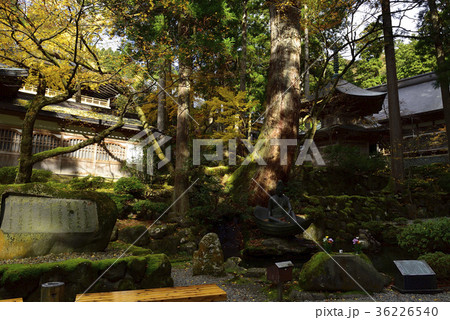 紅葉を求めて、紅葉＠永平寺、永平寺町、福井県。 36226540