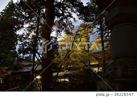 紅葉を求めて、紅葉@永平寺、永平寺町、福井県。 紅葉を求めて、紅葉@永平寺、永平寺町、福井県。 36226547