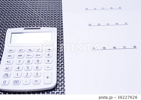 決算報告書　貸借対照表　損益計算書 36227626