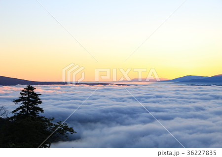 北海道　津別峠の雲海 36227835