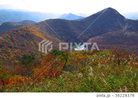 秋の三瓶山 女三瓶から見た景色2017 秋の三瓶山 女三瓶から見た景色2017 36228376