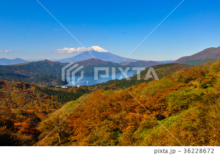 秋色の富士山と芦ノ湖 秋色の富士山と芦ノ湖 36228672