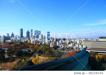 名古屋城天守閣から見た名古屋市　都市風景 36229142