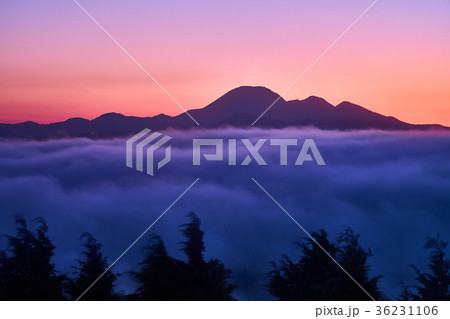 仙ノ山から望む夜明け前の三瓶山 仙ノ山から望む夜明け前の三瓶山 36231106