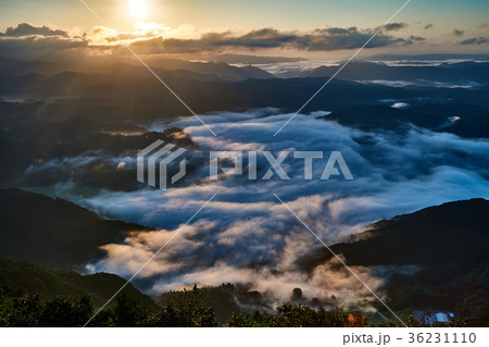 岡山県新見市の大佐山から望む雲海と朝日 岡山県新見市の大佐山から望む雲海と朝日 36231110