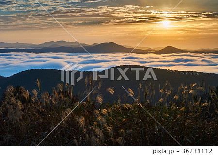 広島県三次市の岡田山から望む雲海と朝日 広島県三次市の岡田山から望む雲海と朝日 36231112