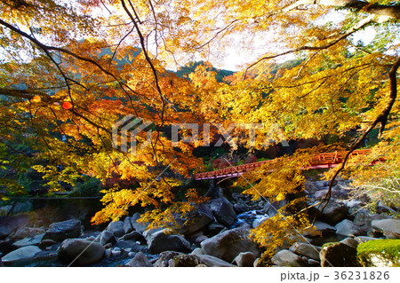 和歌山県田辺市 奇絶峡の紅葉の写真素材